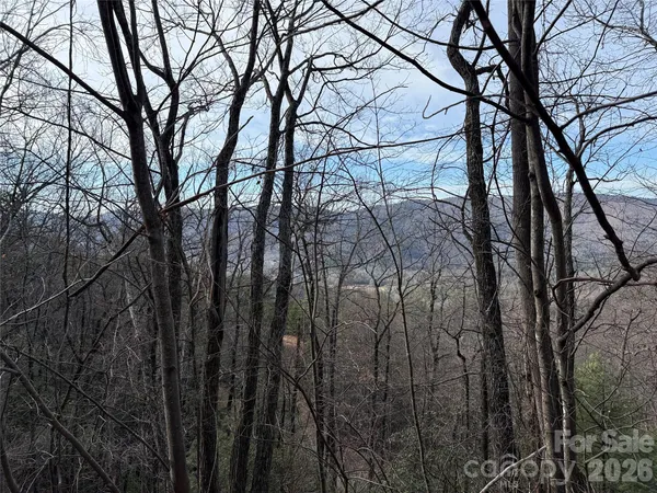 a backyard of a house with lots of trees
