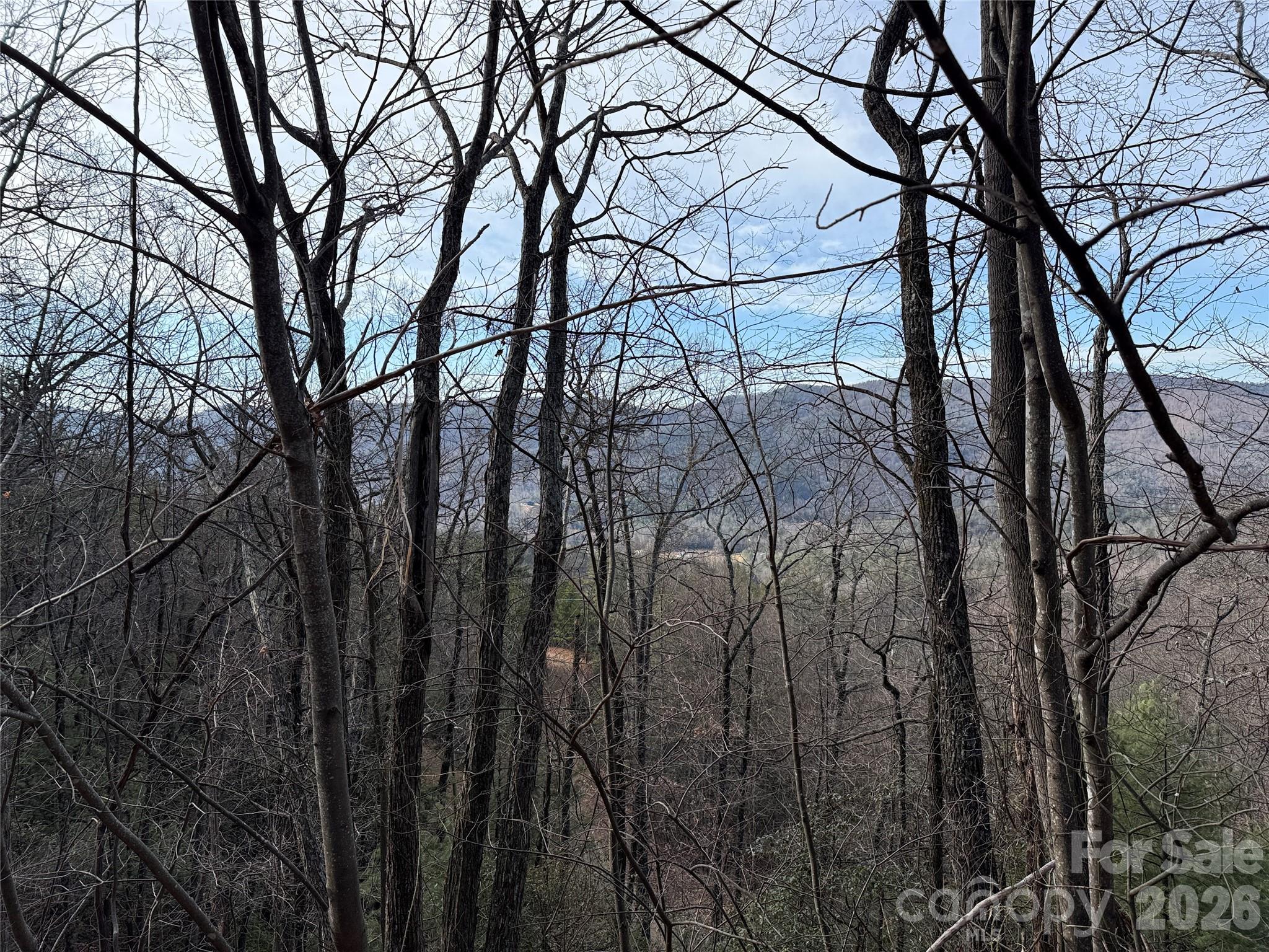 Tbd Maple Valley Lane, Unit 207 & 220 Purlear, NC 28665 - Photo 4 of 43 a backyard of a house with lots of trees