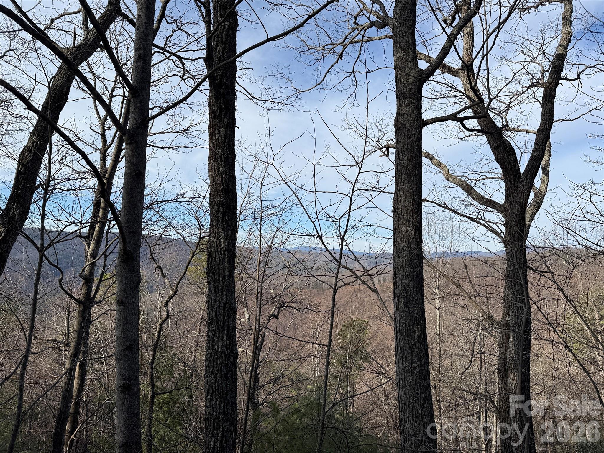 Tbd Maple Valley Lane, Unit 207 & 220 Purlear, NC 28665 - Photo 5 of 43 a view of a forest