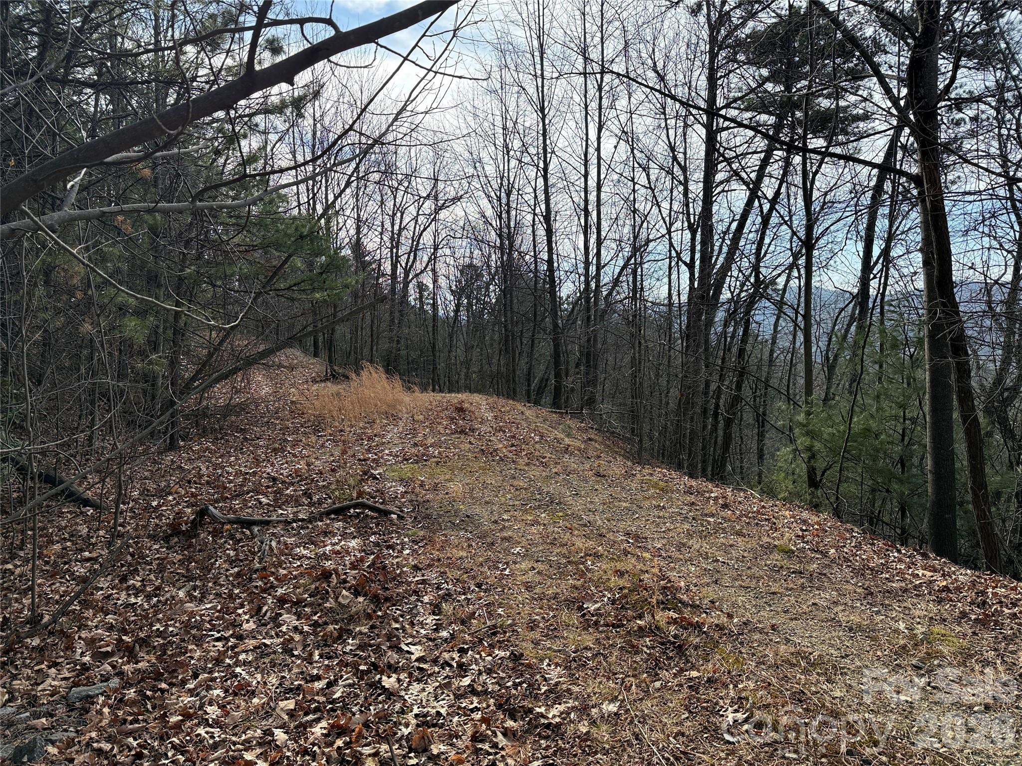 Tbd Maple Valley Lane, Unit 207 & 220 Purlear, NC 28665 - Photo 7 of 43 a backyard of a house with lots of green space