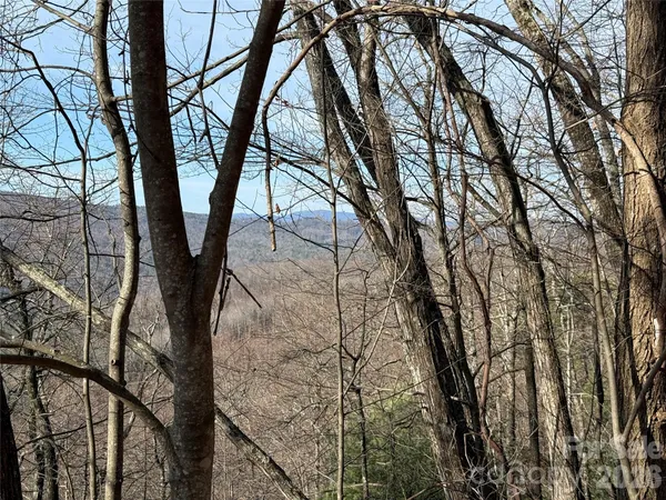 a view of tree with two house