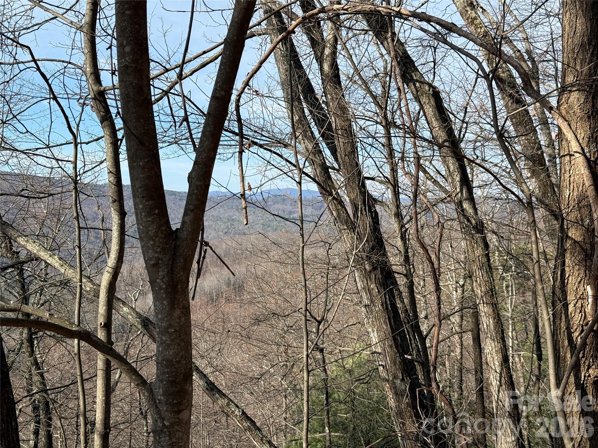 Tbd Maple Valley Lane, Unit 207 & 220 Purlear, NC 28665 - Photo 9 of 43 a view of tree with two house