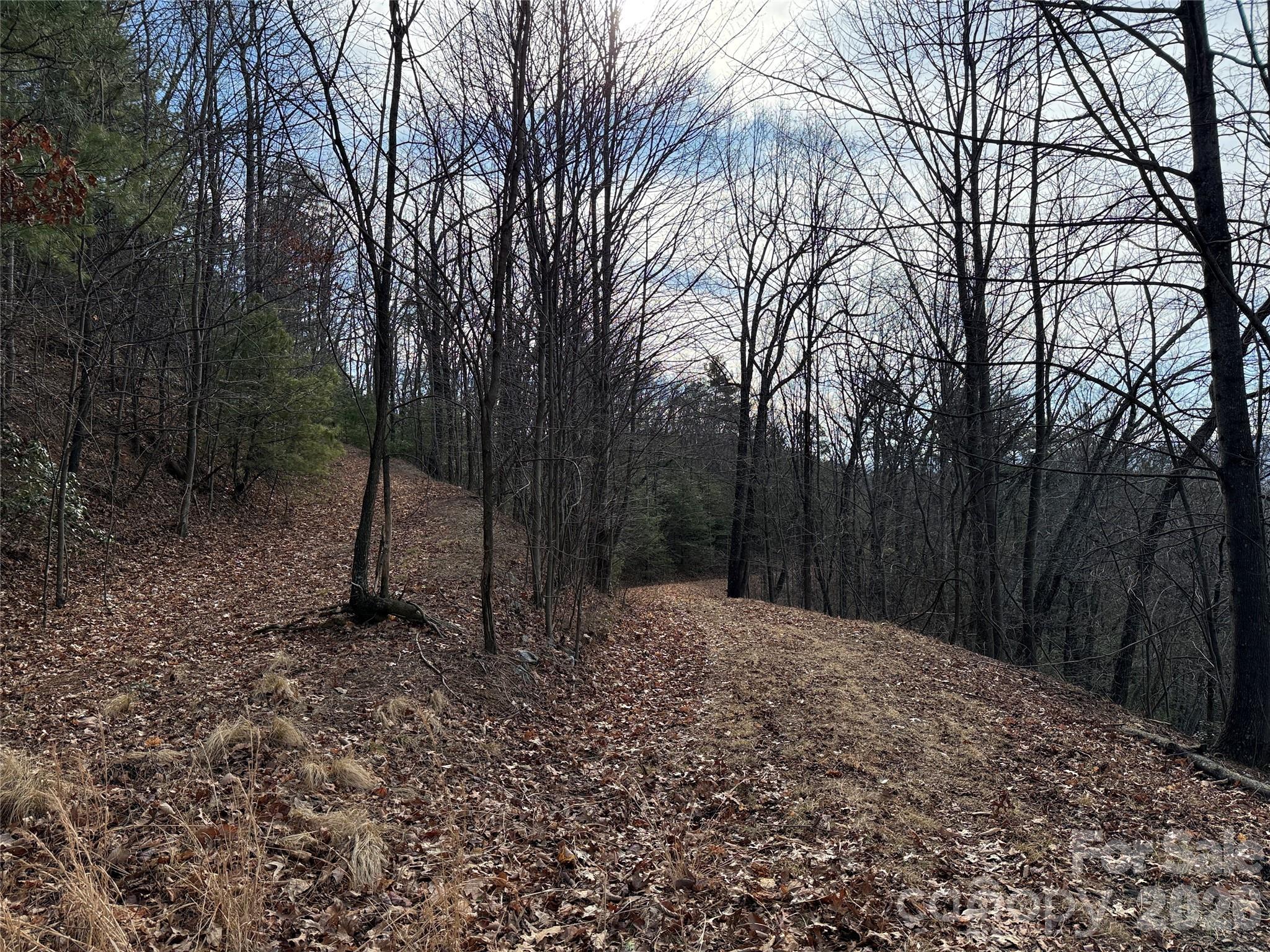 Tbd Maple Valley Lane, Unit 207 & 220 Purlear, NC 28665 - Photo 10 of 43 a backyard of a house with lots of green space