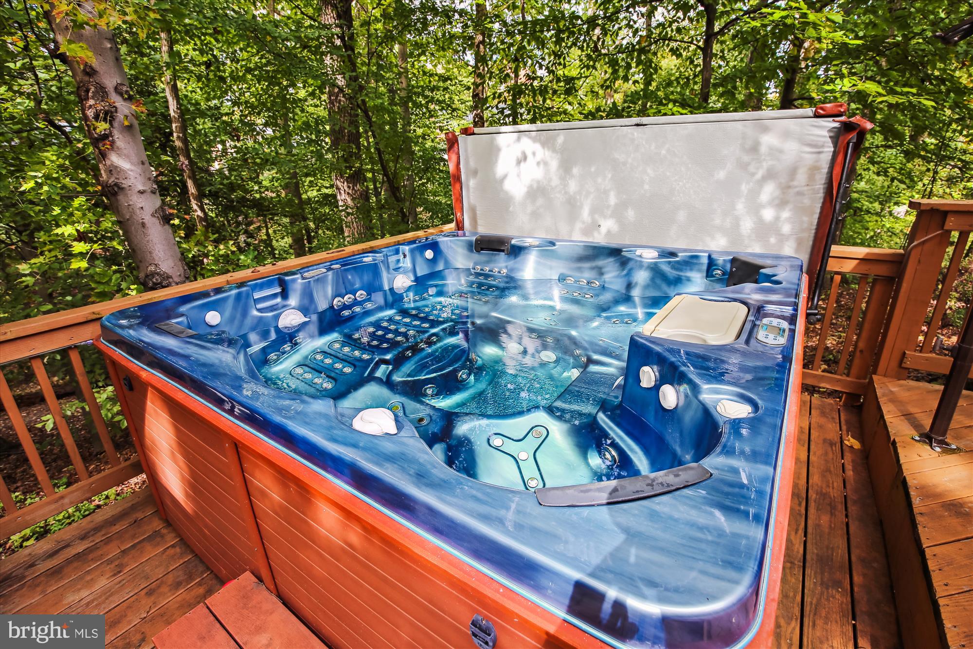 9207 Mac Swain Place Springfield, VA 22153 - Photo 35 of 87 Hot Tub