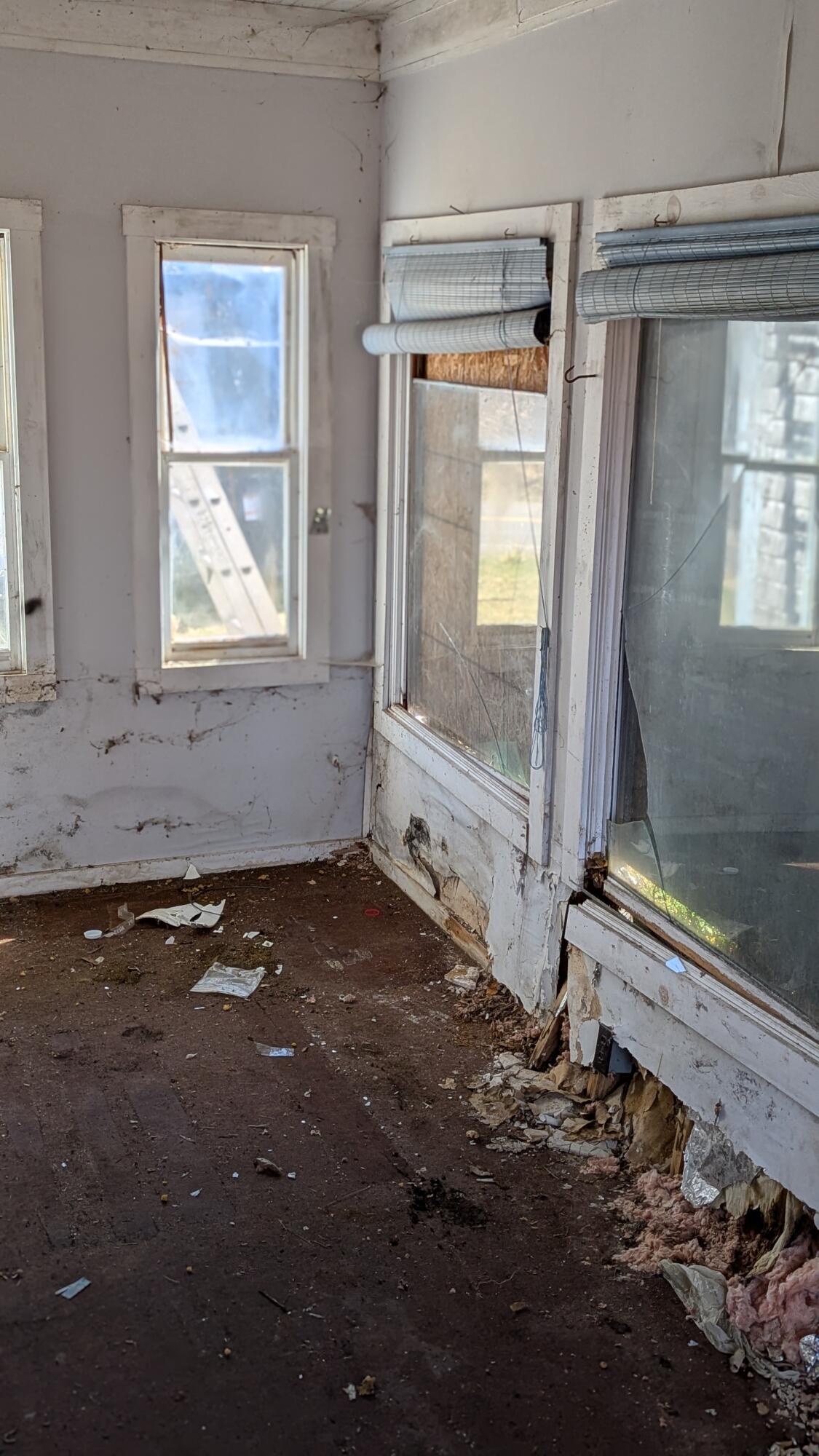 19 Lubec Road Whiting, ME 04691 - Photo 24 of 38 PXL_20250423_134646818.PORTRAIT