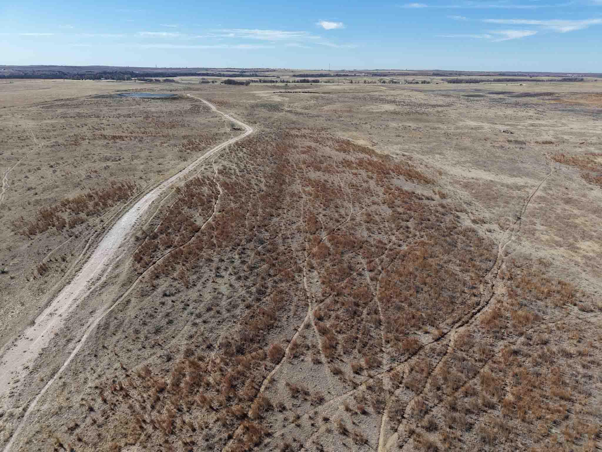 Dodd Grass 480ac County Line Road Briscoe, TX 79011 - Photo 83 of 92 Dodd_Grass-83