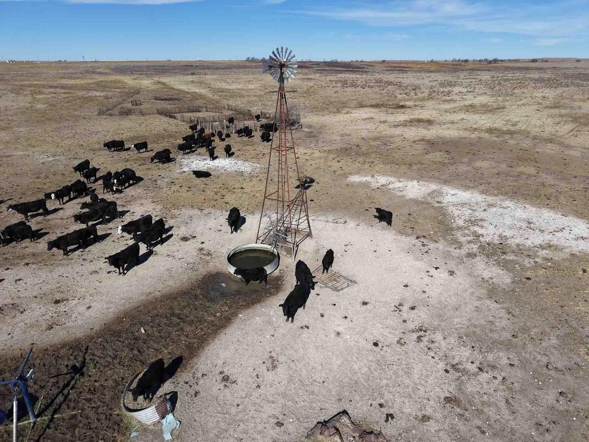 Dodd Grass 480ac County Line Road Briscoe, TX 79011 - Photo 90 of 92 Dodd_Grass-90