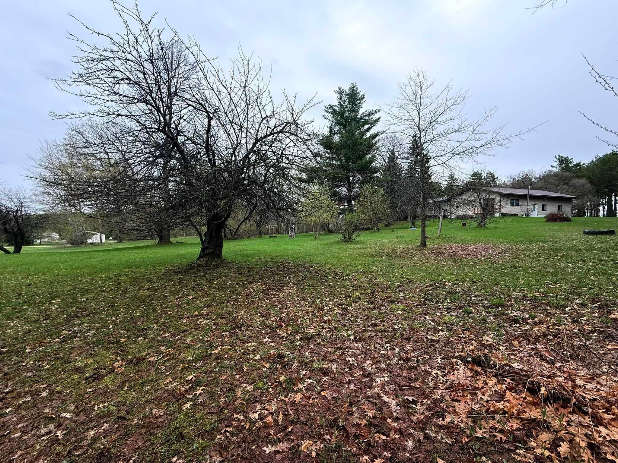 5651 North Seeley Road Manton, MI 49663 - Photo 11 of 49