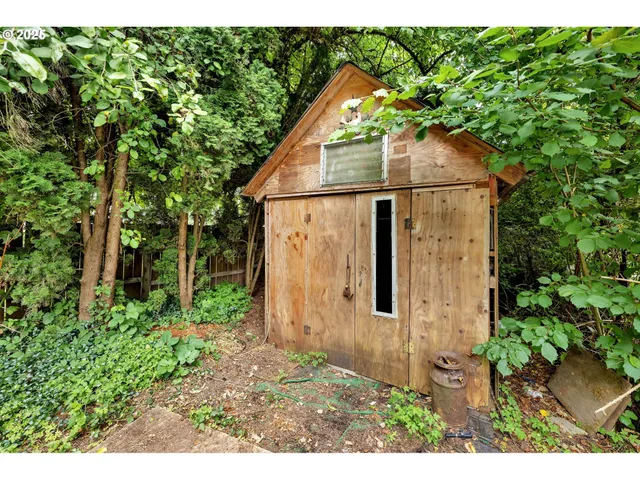 a view of a small garden