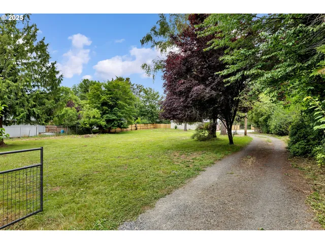 a view of a trees with yard