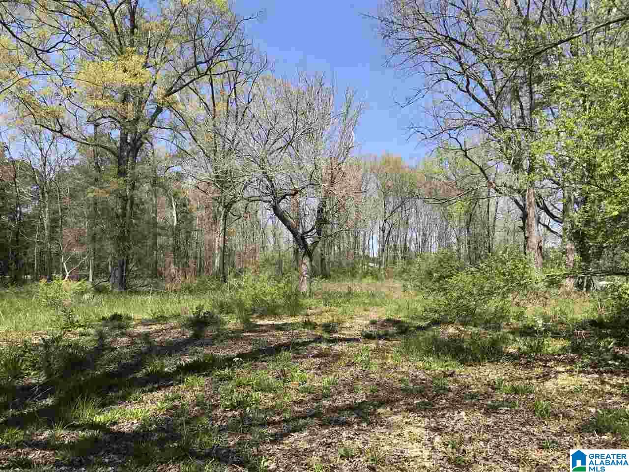4133 Roy Webb Road, Unit 1 Jacksonville, AL 36265 - Photo 17 of 40