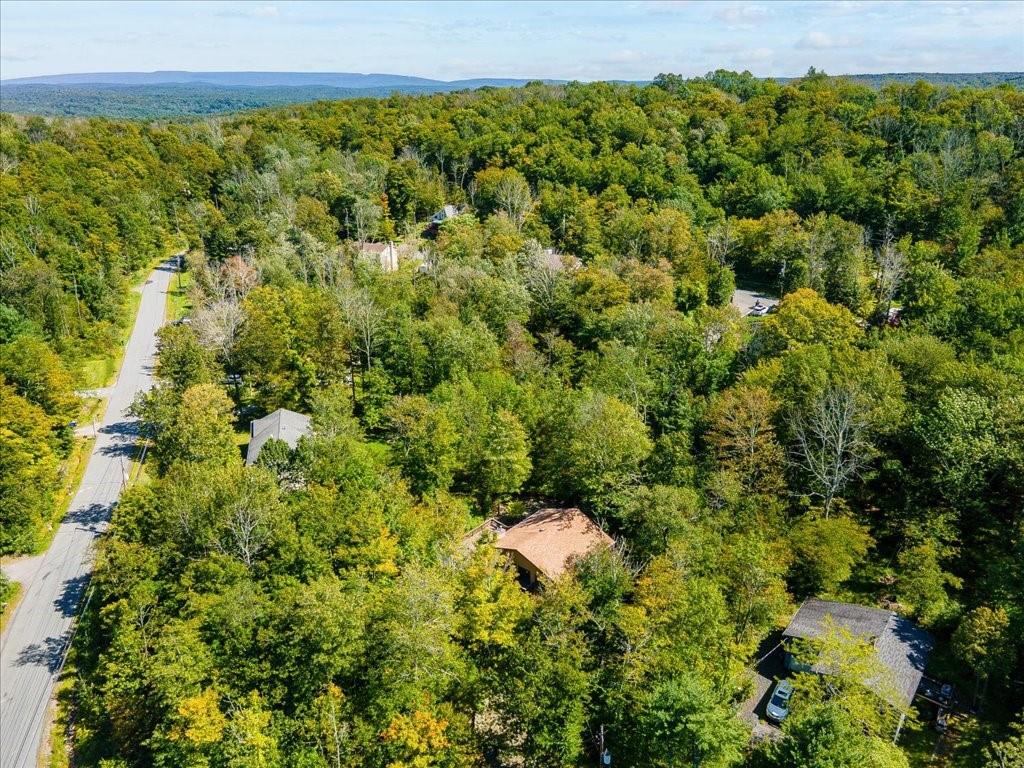 40 Winterthur Road Woodridge, NY 12789 - Photo 1 of 1