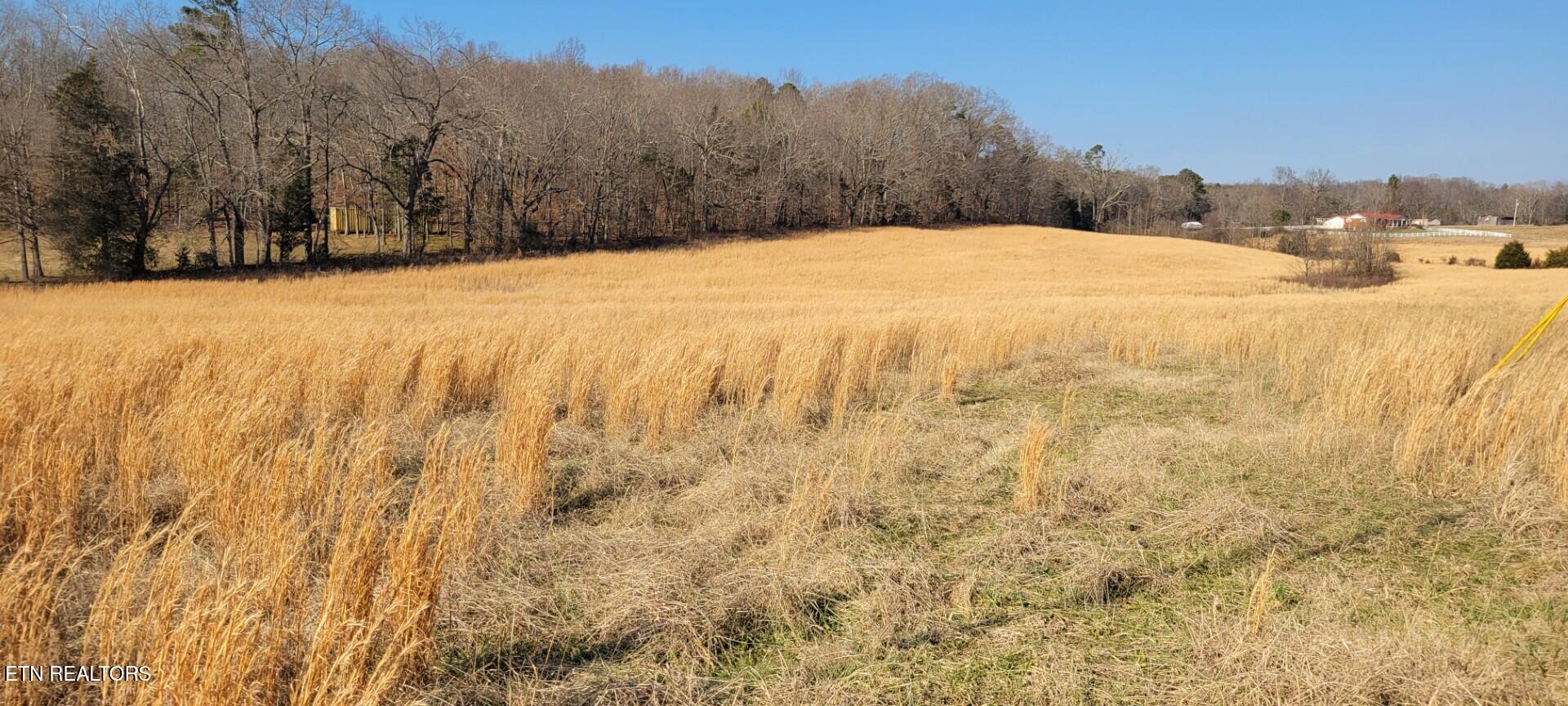 201 Evans Road Kingston, TN 37763 - Photo 6 of 7 image 7