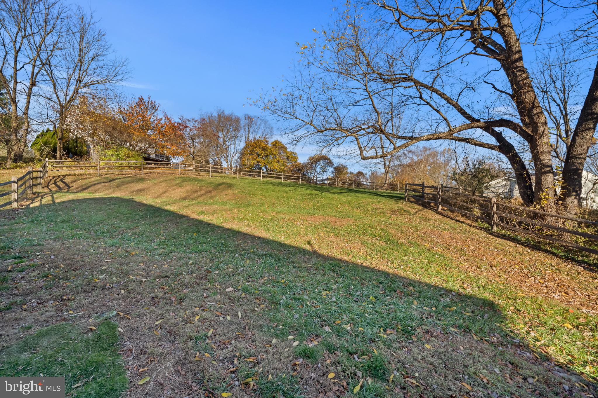 208 Wills Farm Road Oxford, PA 19363 - Photo 6 of 12 a view of yard with large trees