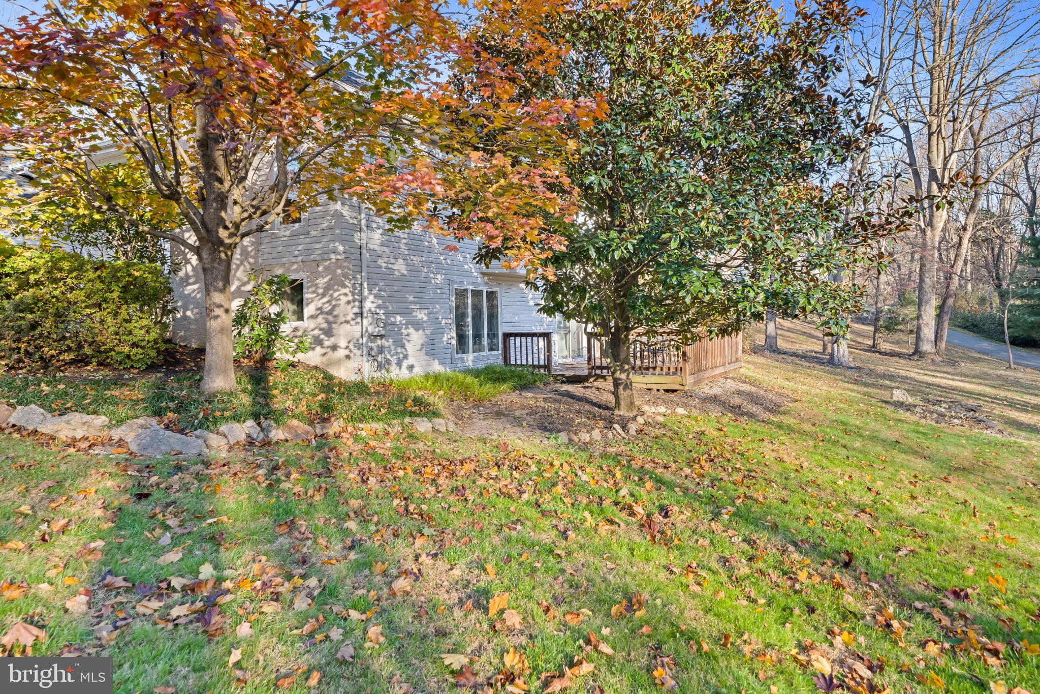 208 Wills Farm Road Oxford, PA 19363 - Photo 8 of 12 a view of a yard with plants and trees