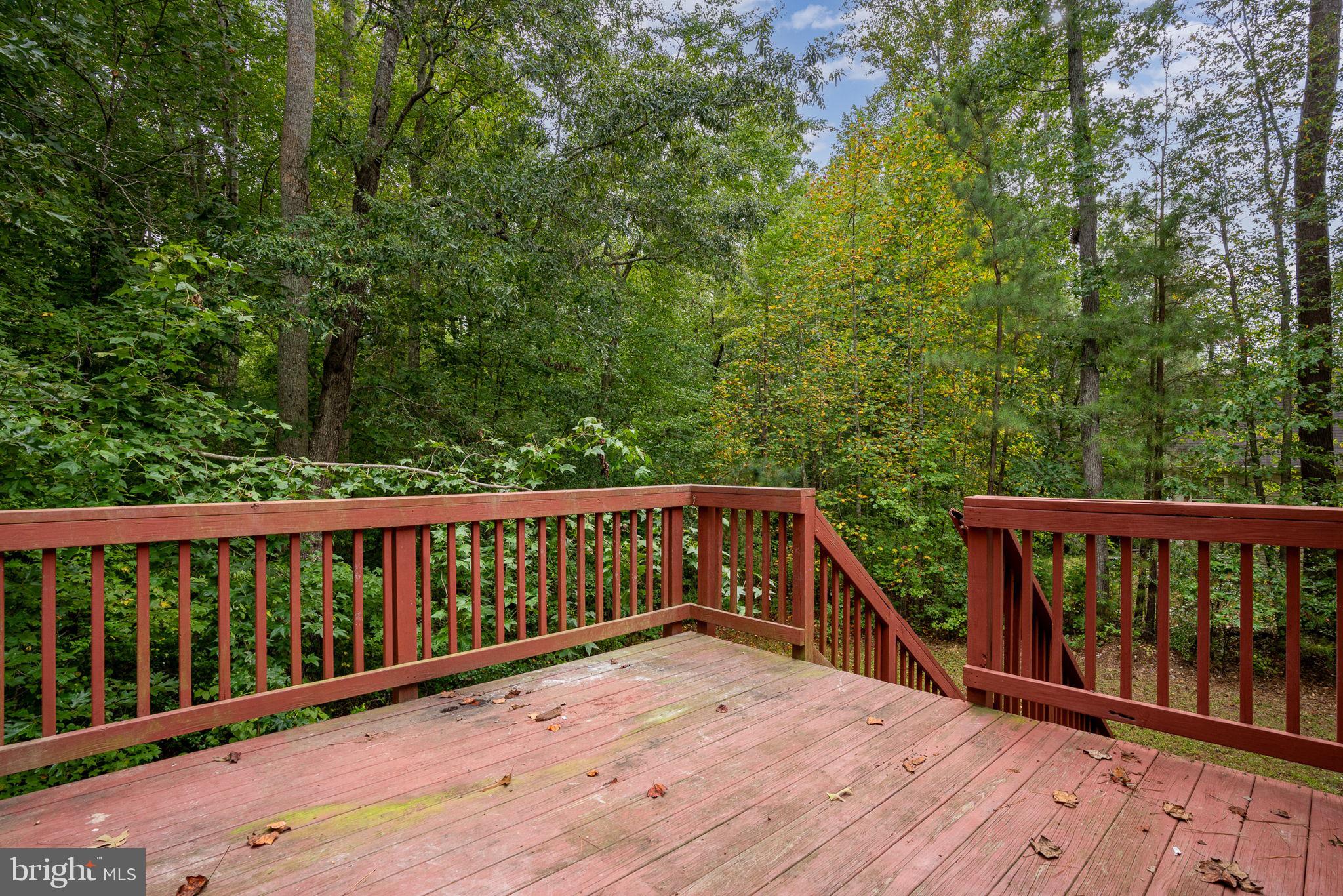 641 Welsh Drive Ruther Glen, VA 22546 - Photo 39 of 42