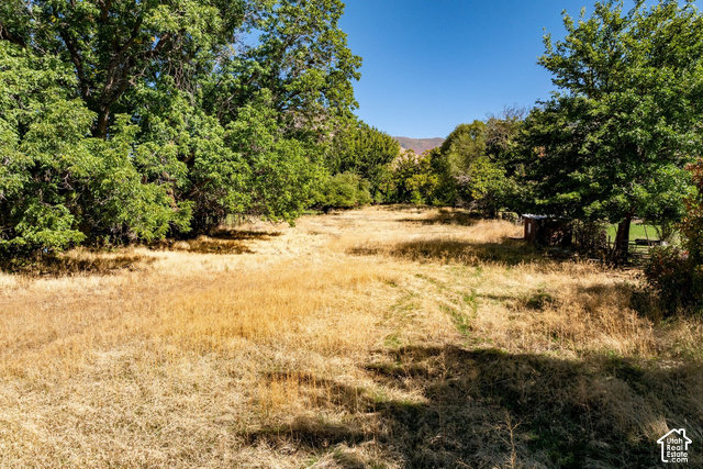 290 North Main Street Mapleton, UT 84664 - Photo 16 of 18 Gallery Image 16