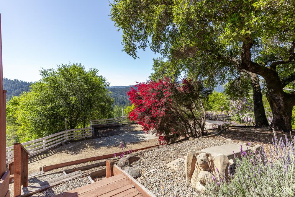 708 Ralston Ridge Boulder Creek, CA 95006 - Photo 37 of 59 a view of a yard with plants