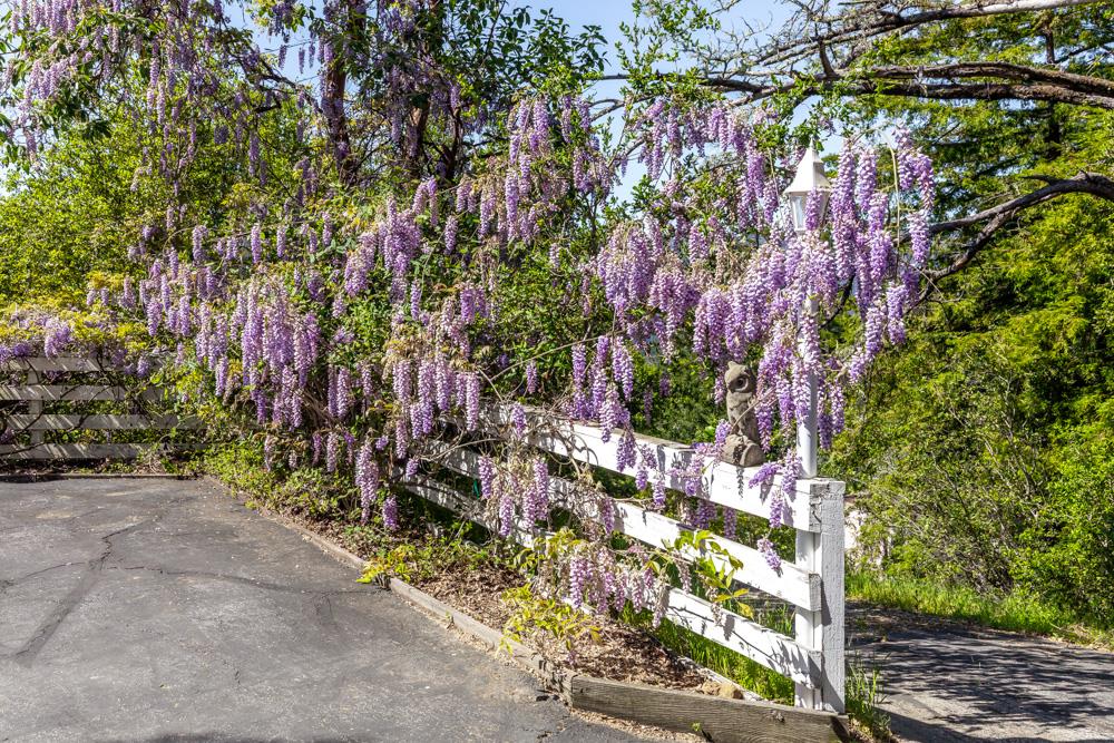 708 Ralston Ridge Boulder Creek, CA 95006 - Photo 46 of 59