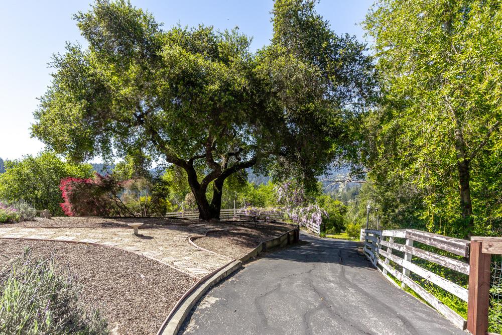 708 Ralston Ridge Boulder Creek, CA 95006 - Photo 47 of 59 a view of outdoor space with trees