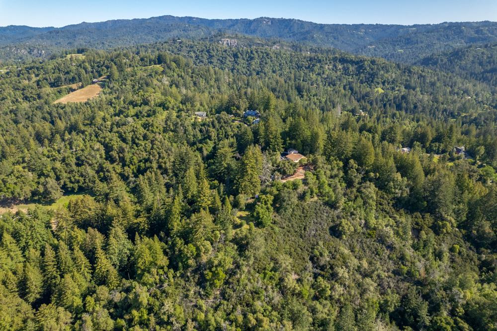 708 Ralston Ridge Boulder Creek, CA 95006 - Photo 53 of 59 a view of a lush green forest with lush green forest
