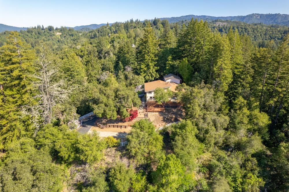 708 Ralston Ridge Boulder Creek, CA 95006 - Photo 55 of 59 a view of a forest with a street