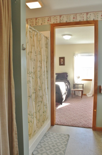 10675 West Washington Road Sumner, MI 48889 - Photo 19 of 39 1825344-18.JPG