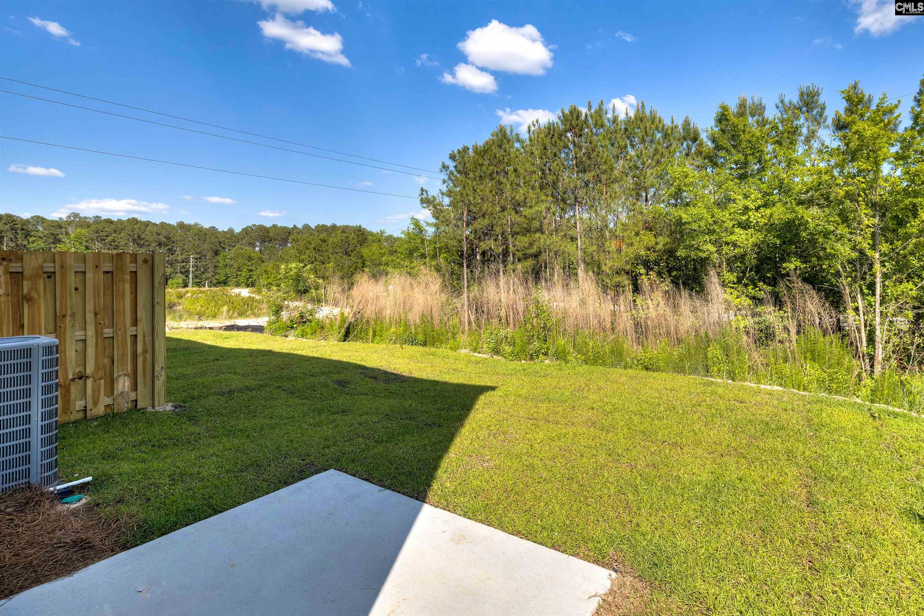 236 Brando Way Columbia, SC 29223 - Photo 26 of 29