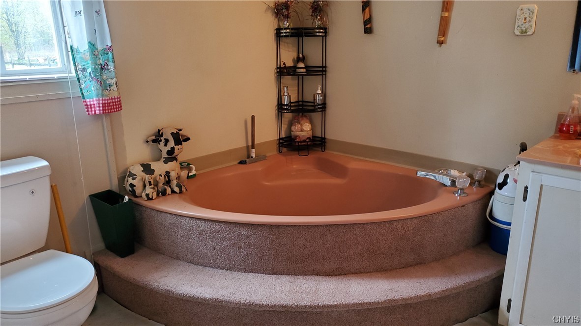 1641 Fyler Road Sullivan, NY 13037 - Photo 17 of 27 Master bath