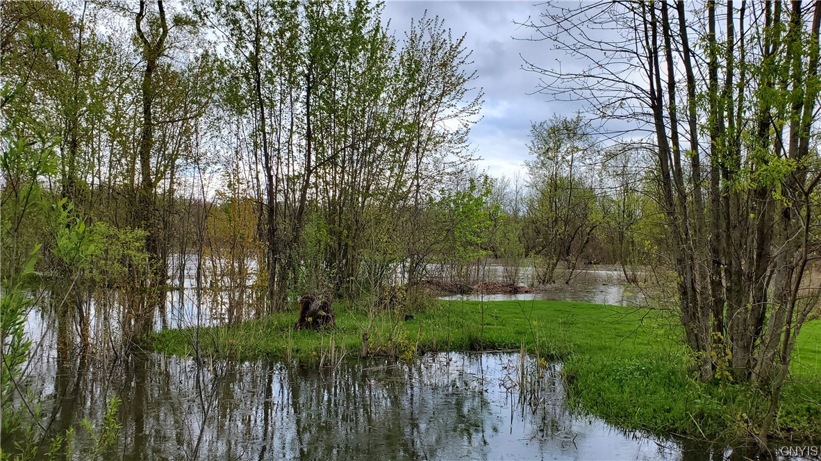 1641 Fyler Road Sullivan, NY 13037 - Photo 25 of 27 Pond in far-far backyard. It is 1/3 this size in
