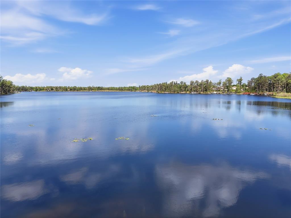 11403 Biddeford Place New Port Richey, FL 34654 - Photo 73 of 78
