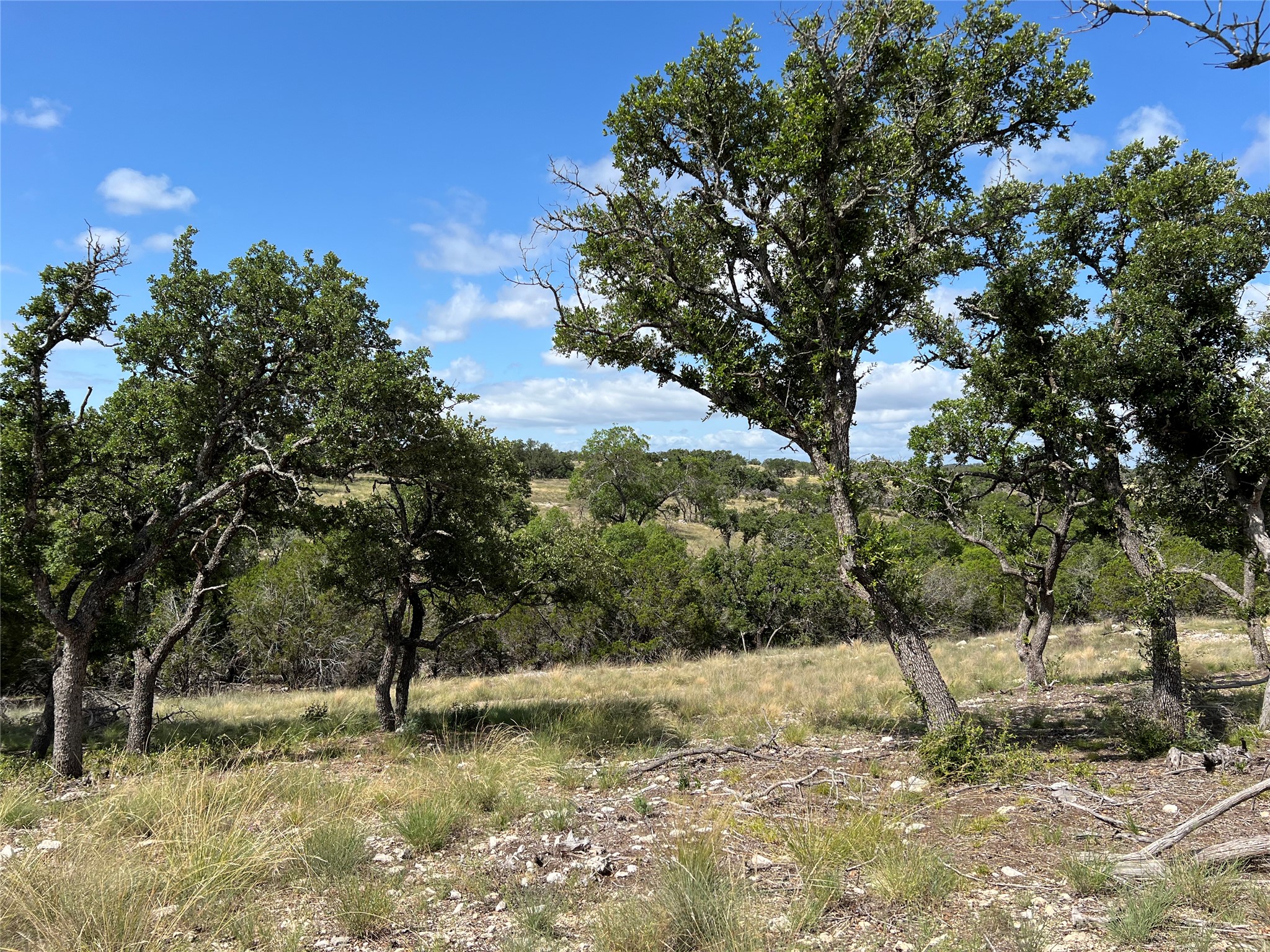 Lot 80 Seven Springs Ranch Junction Junction, TX 76849 - Photo 9 of 17 a view of a yard with a tree