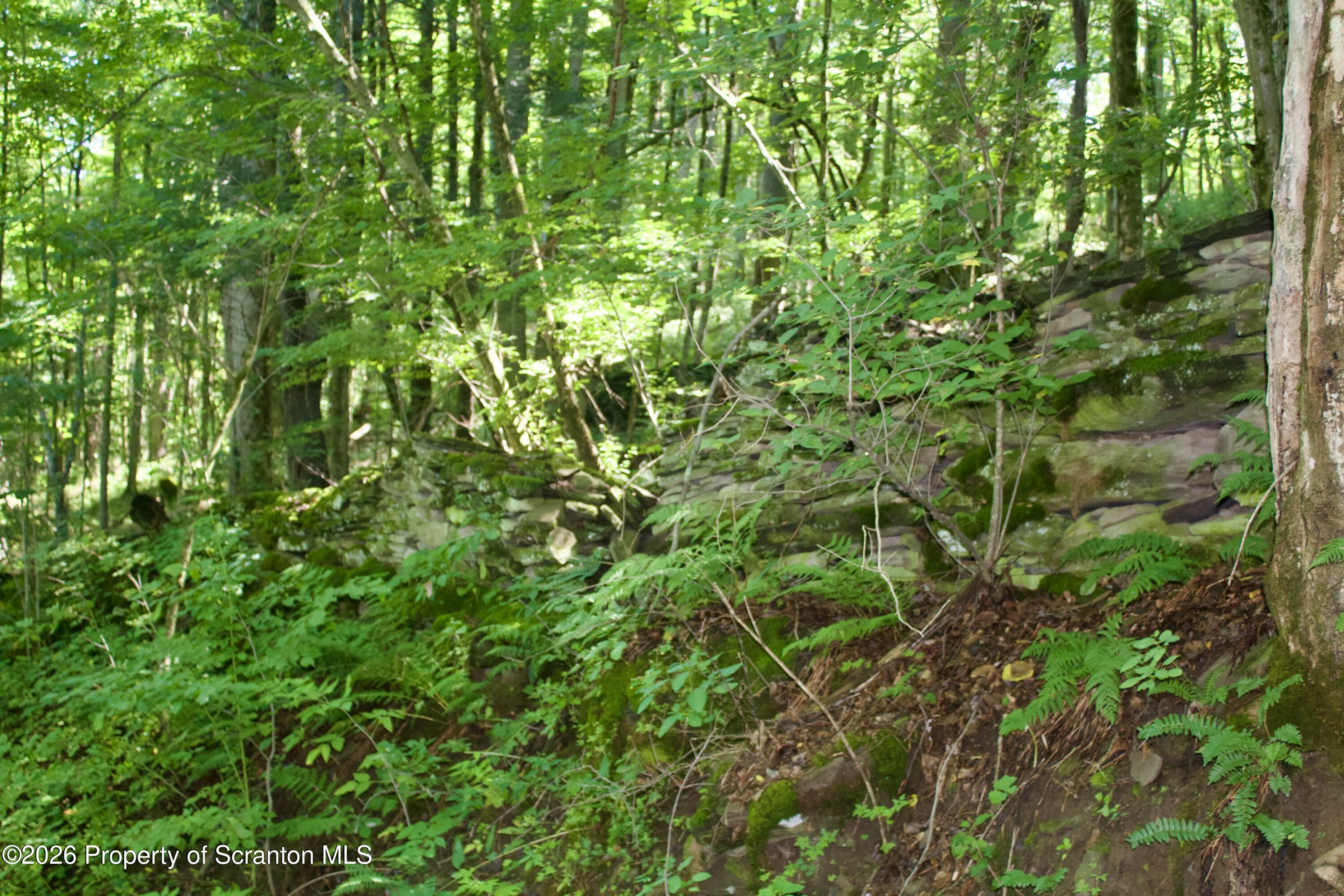 2000 Belcher Road Union Dale, PA 18470 - Photo 23 of 28 IMG_4630