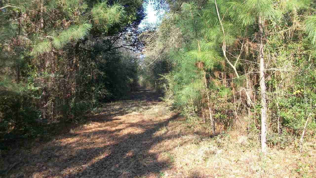 West Side Of Hays Road Silsbee, TX 77656 - Photo 1 of 1