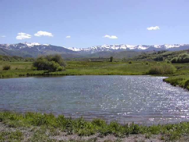 Tbd Rural Route 9a Snowmass, CO 81654 - Photo 1 of 3 Primary Photo