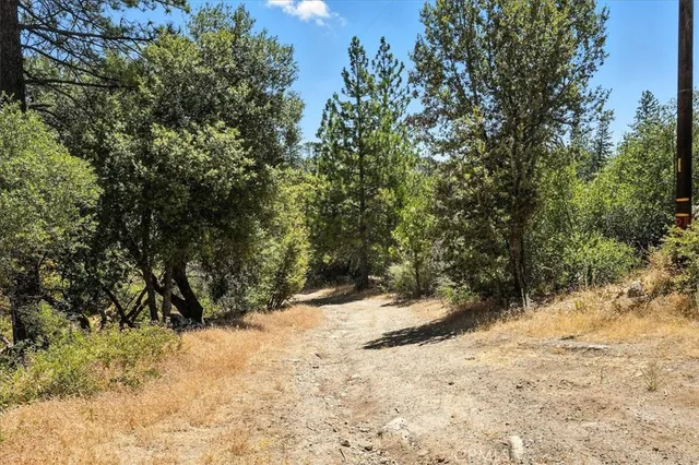 a view of a yard covered in snow