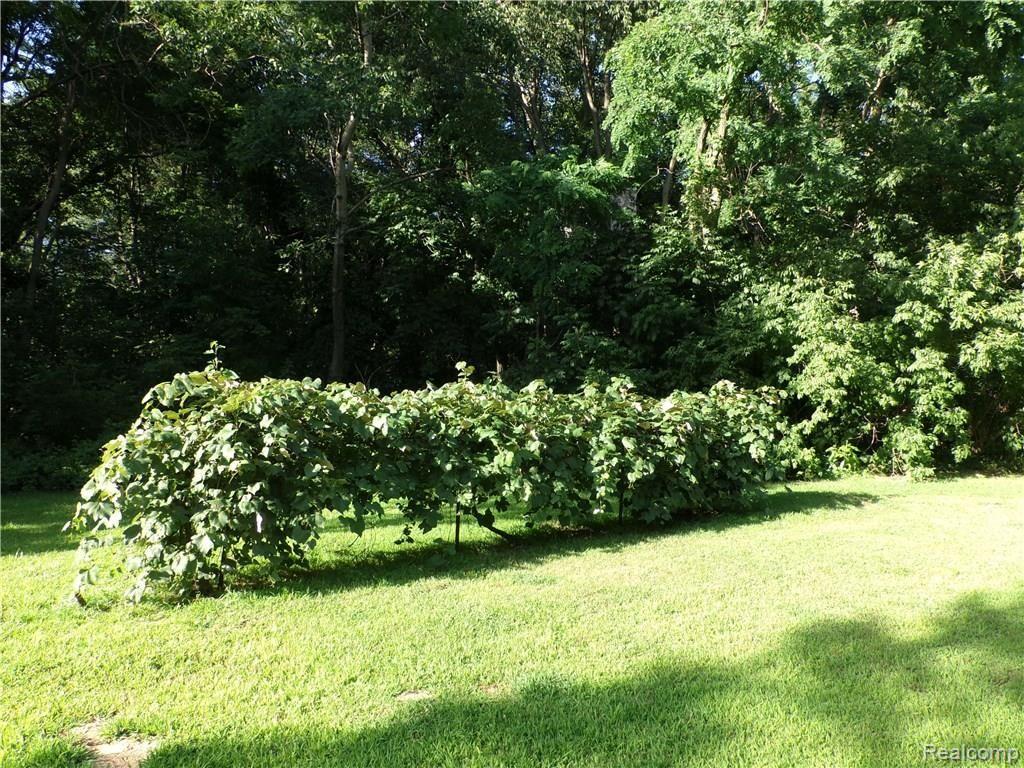 9650 Gibbs Road Clarkston, MI 48348 - Photo 25 of 27 Gibbs_Tucker 095.JPG