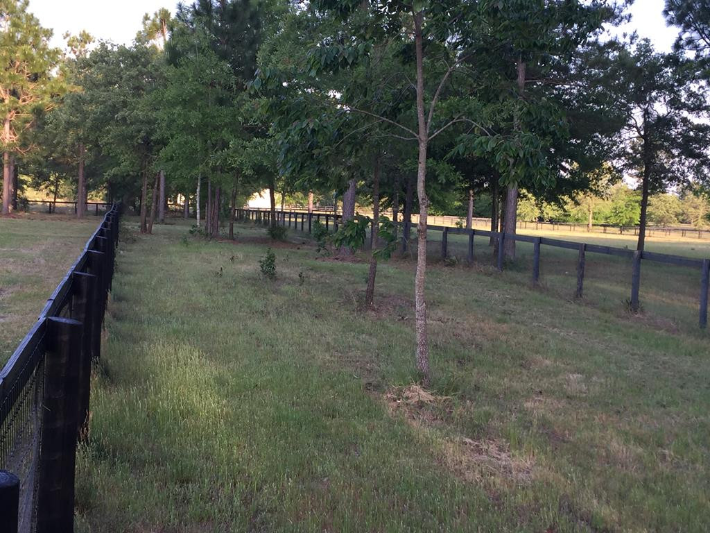 1060 Curb Chain Lane Windsor, SC 29856 - Photo 40 of 44