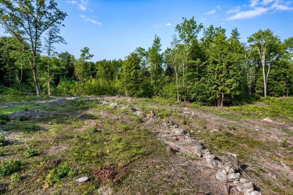 Lot 3 Brown Road Candia, NH 03034 - Photo 9 of 16