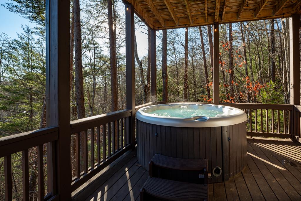 367 Laurel Mountain Road Blue Ridge, GA 30513 - Photo 37 of 57 Gallery Image 37