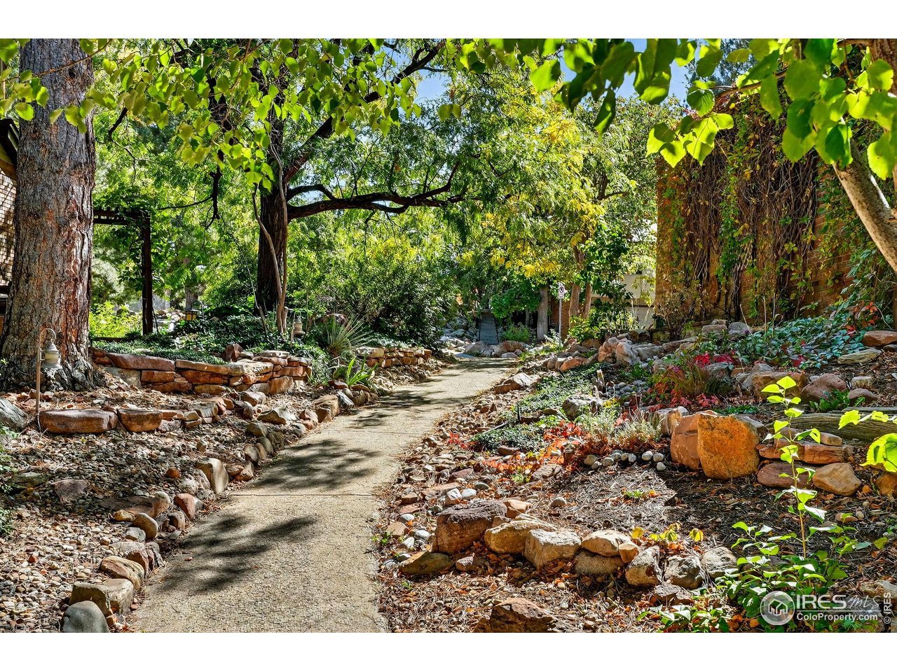 664 Quince Circle Boulder, CO 80304 - Photo 8 of 15 a view of a tree with some plants in front of it