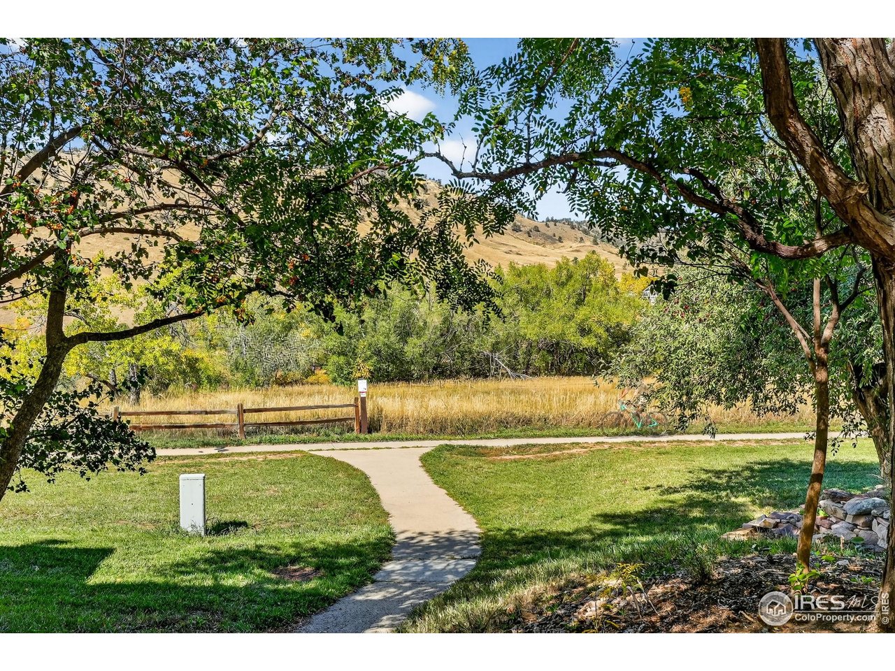 664 Quince Circle Boulder, CO 80304 - Photo 9 of 15 a view of a yard with an trees
