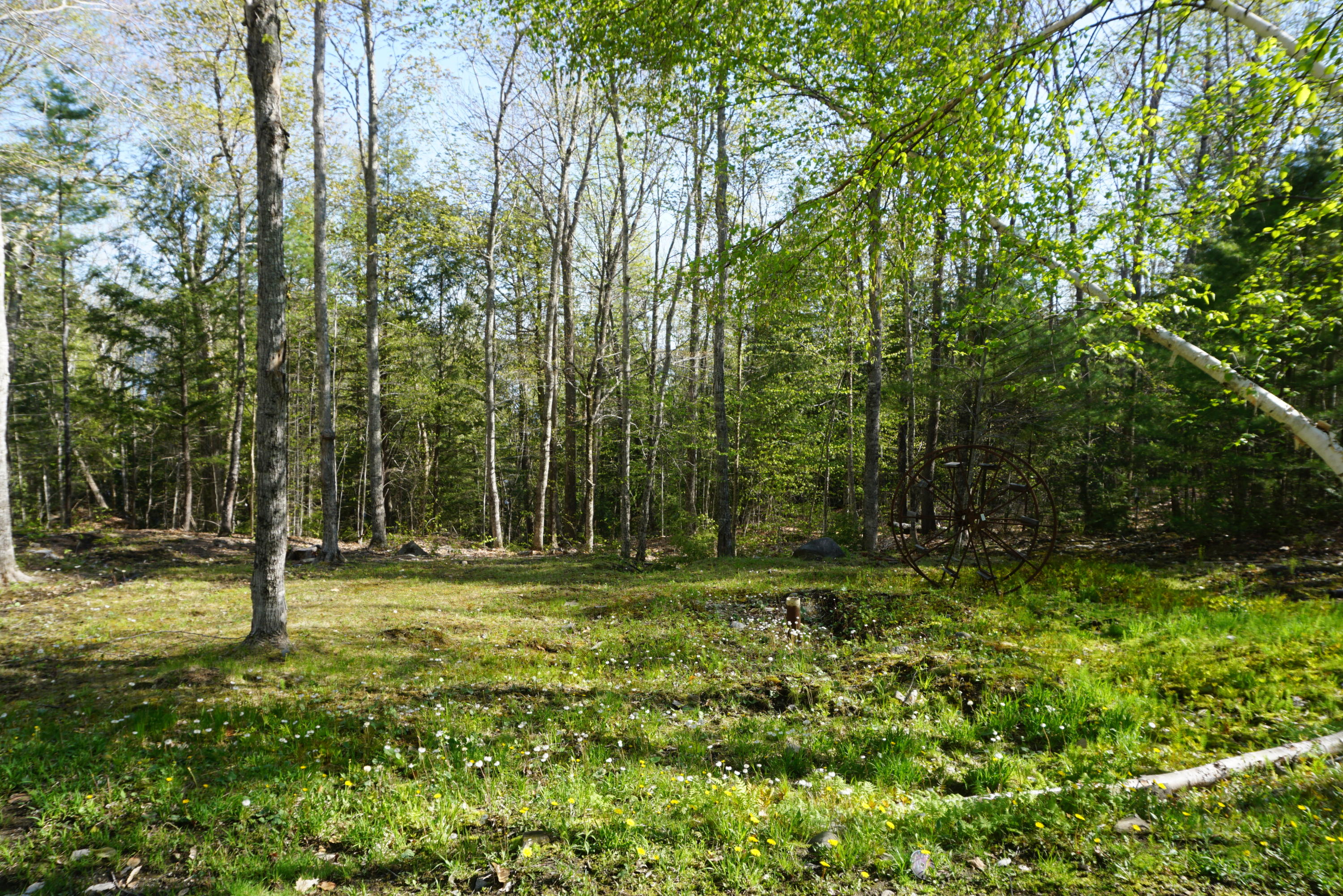 54 Sap House Road Greenville, ME 04441 - Photo 2 of 38 AC1390A9-71AA-417F-8B67-F08D6FAC5B06