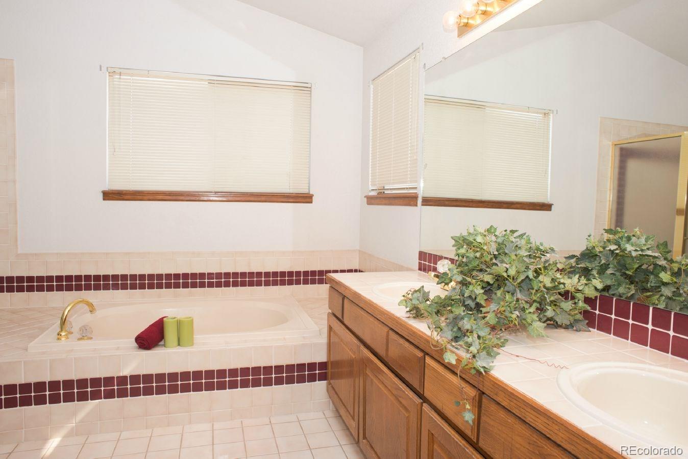 9922 South Spring Hill Place Highlands Ranch, CO 80129 - Photo 21 of 34 Gallery Image 21