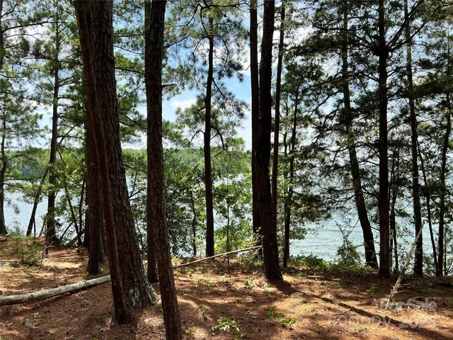 $163,000 | Lot 8 Highway 215, Unit SOUTH, Jenkinsville, SC 29065