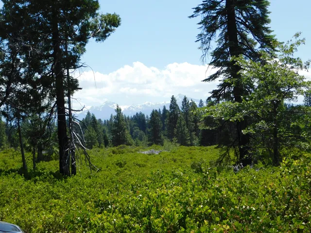 $75,000 | Undisclosed Address, Shingletown, CA 96088