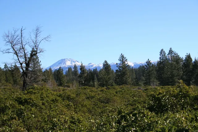 $75,000 | Undisclosed Address, Shingletown, CA 96088