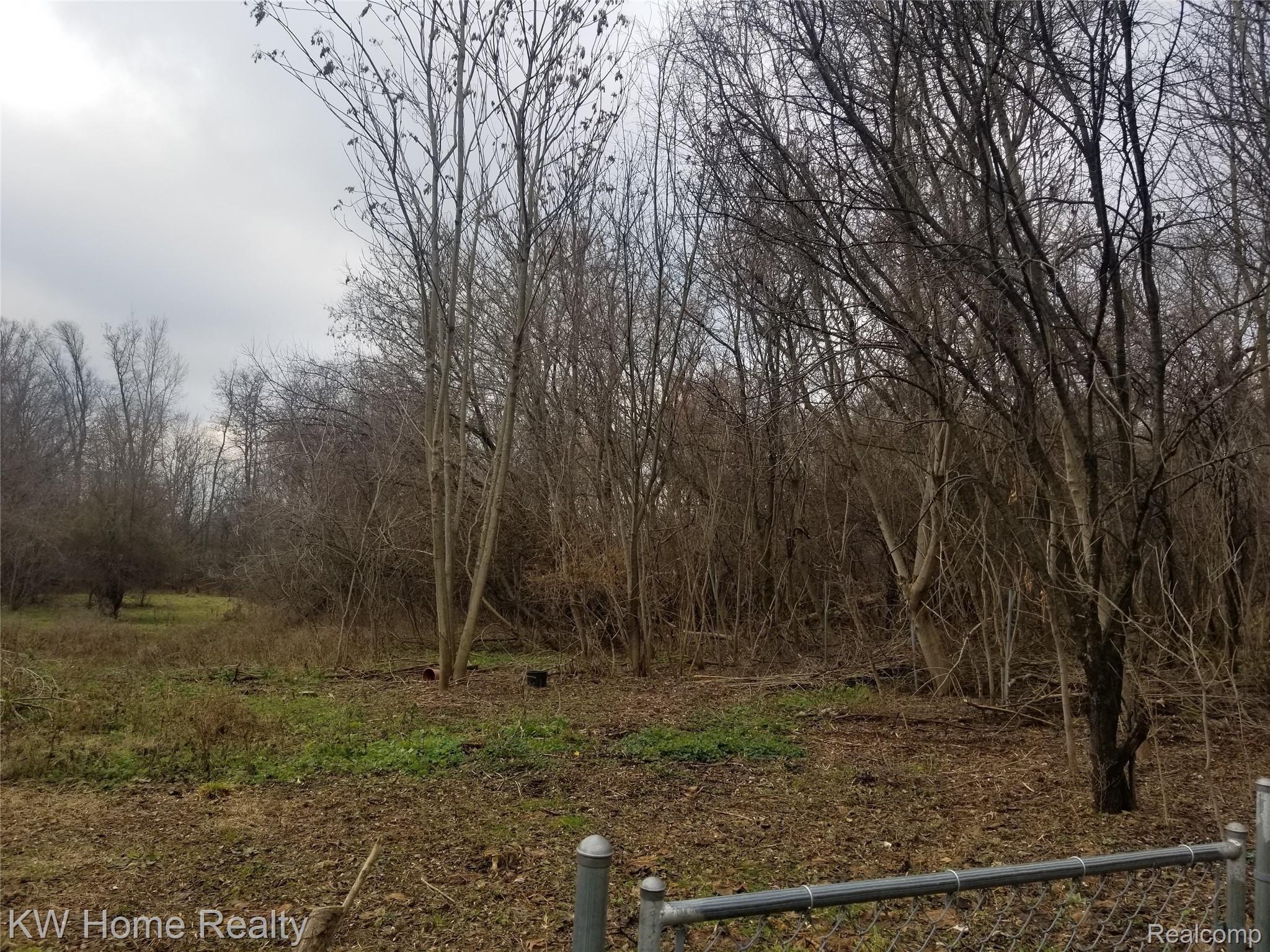25815 Farmbrook Road Southfield, MI 48034 - Photo 27 of 34 REAR OF YARD