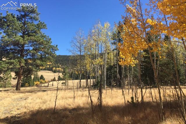470 Ranger Station Road Guffey, CO 80820 - Photo 30 of 36