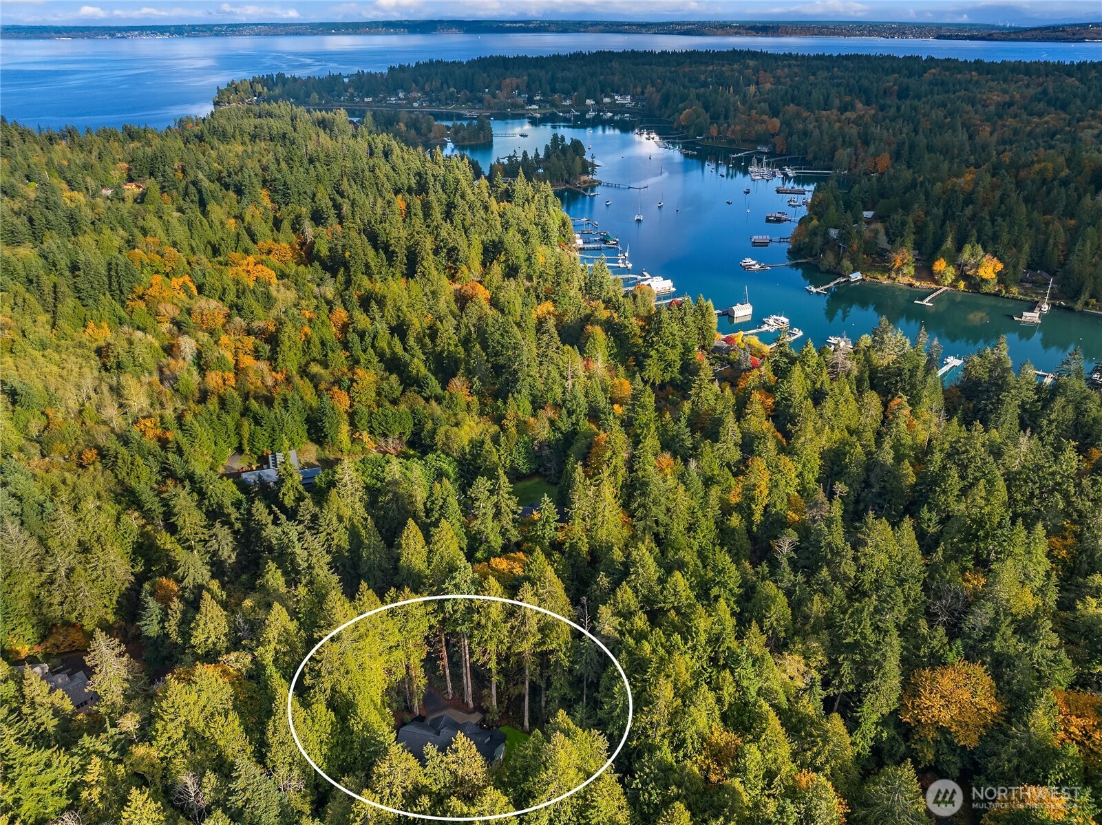 7535 Northeast West Port Madison Road Bainbridge Island, WA 98110 - Photo 39 of 40
